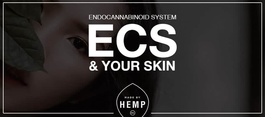 The Endocannabinoid System (ECS) and Skin