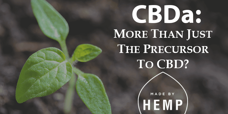 CBDa precursor CBD